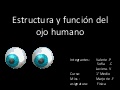 Estructura y función del ojo humano